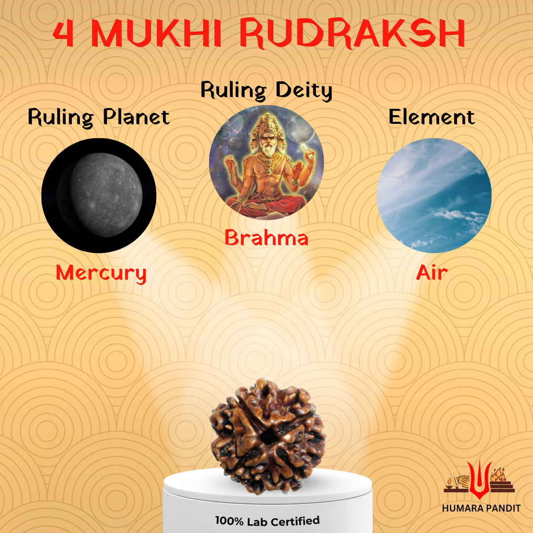 4 Mukhi Nepali Rudraksha β Wisdom, Speech & Creative Power πͺ