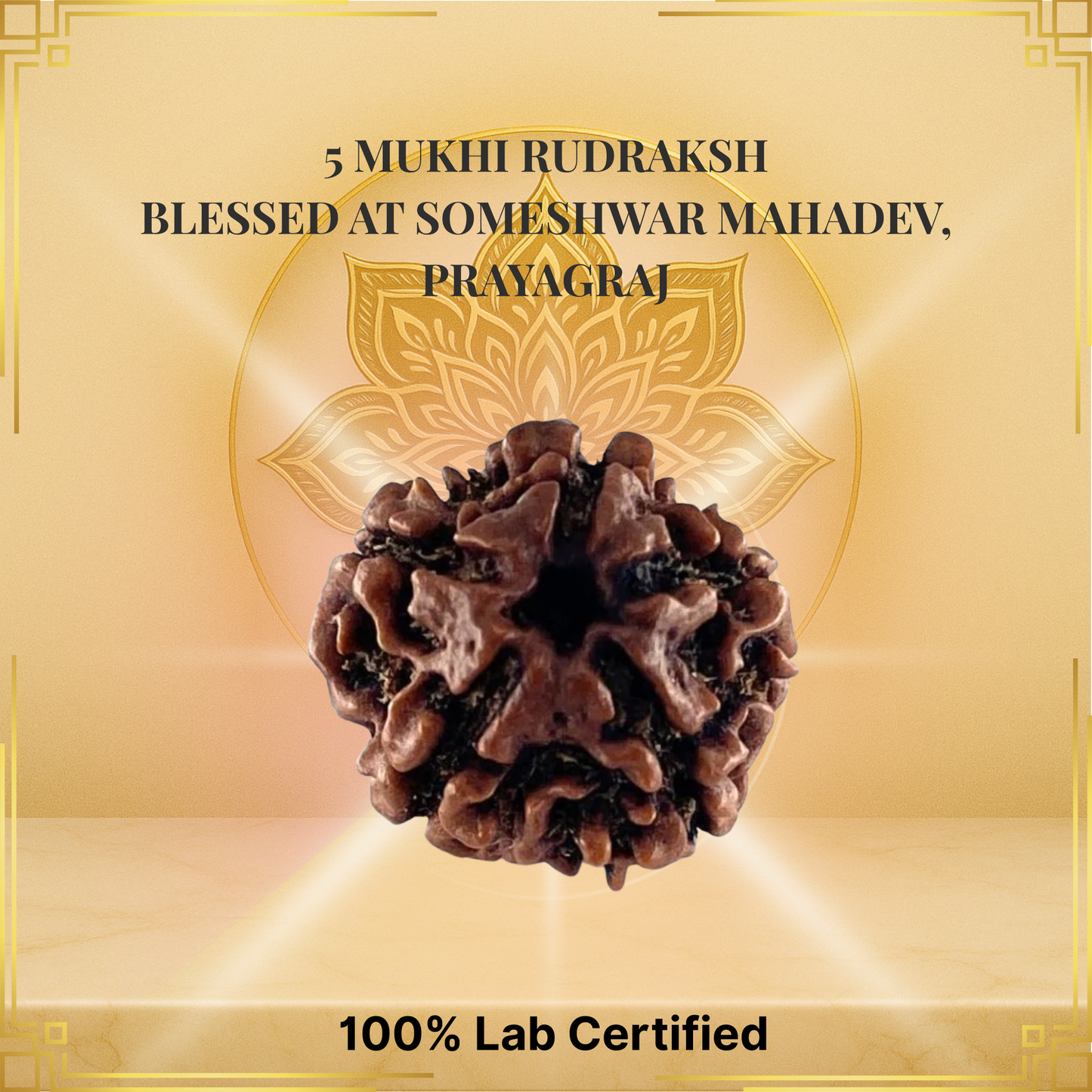 Temple-Blessed Rudraksha – From the Feet of Someshwar Mahadev, Prayagraj