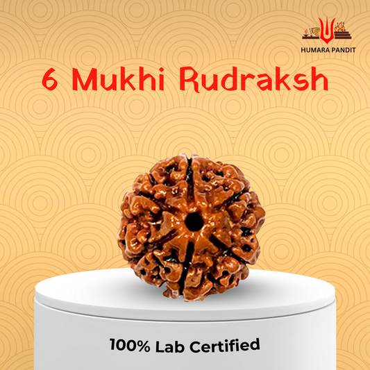 6 Mukhi Nepali Rudraksha – Discipline, Confidence & Victory 🛡️