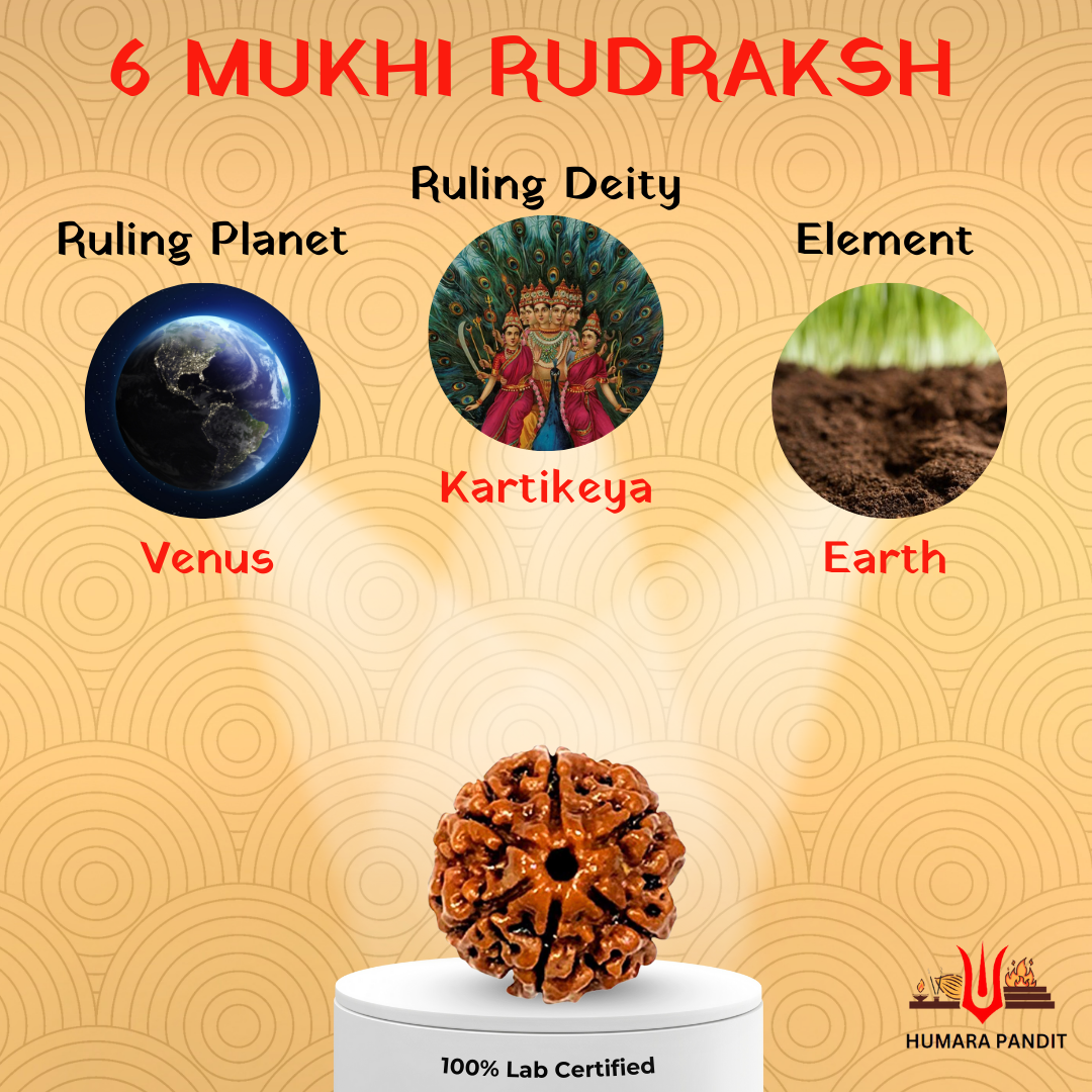 6 Mukhi Nepali Rudraksha β Discipline, Confidence & Victory π‘οΈ