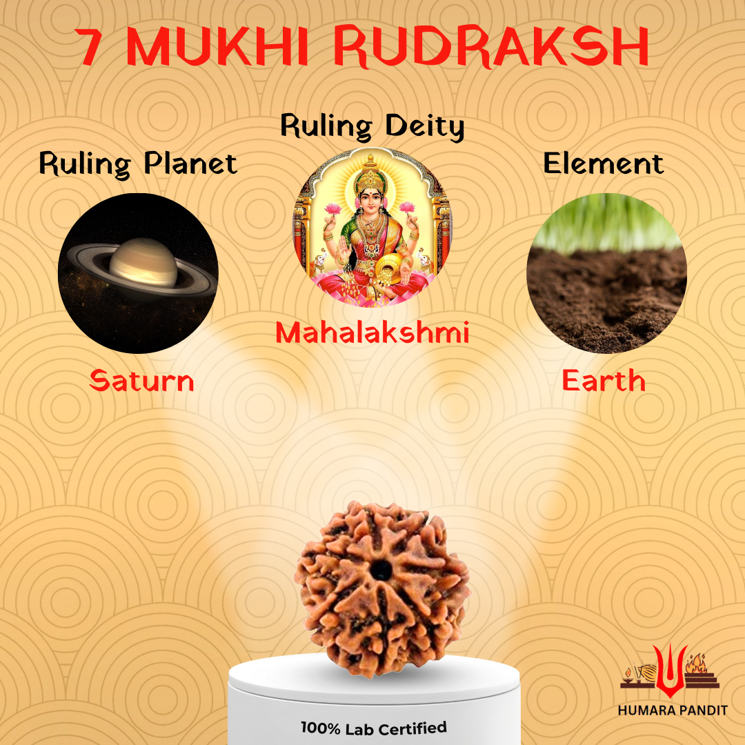 7 Mukhi Nepali Rudraksha β Wealth, Prosperity & Divine Blessings π°