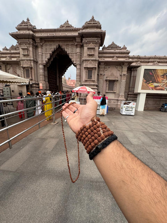 Rudraksha Mala – 100% Original & Energized