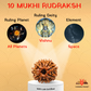 10 Mukhi Nepali Rudraksha – Protection, Balance & Divine Support 🛡️🔱