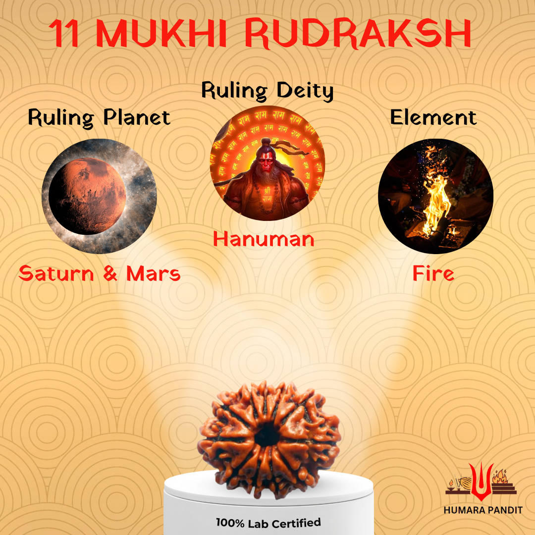 11 Mukhi Nepali Rudraksha – Courage, Devotion & Invincibility 💪🐒