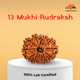 13 Mukhi Nepali Rudraksha – Attraction, Manifestation & Divine Magnetism 💫❤️