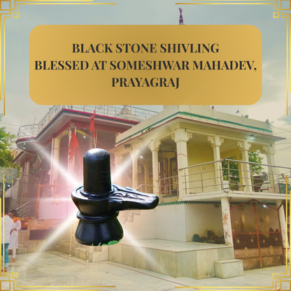 Someshwar Mahadev Shivling – Blessed at Temple
