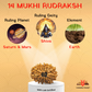 14 Mukhi Nepali Rudraksha – Intuition, Courage & Divine Vision 👁️🔱