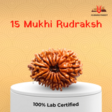 15 Mukhi Nepali Rudraksha – Divine Love, Healing & Heart Awakening 💖🕉️
