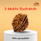 2 Mukhi Nepali Rudraksha – Harmony, Relationships & Divine Union 🕉️