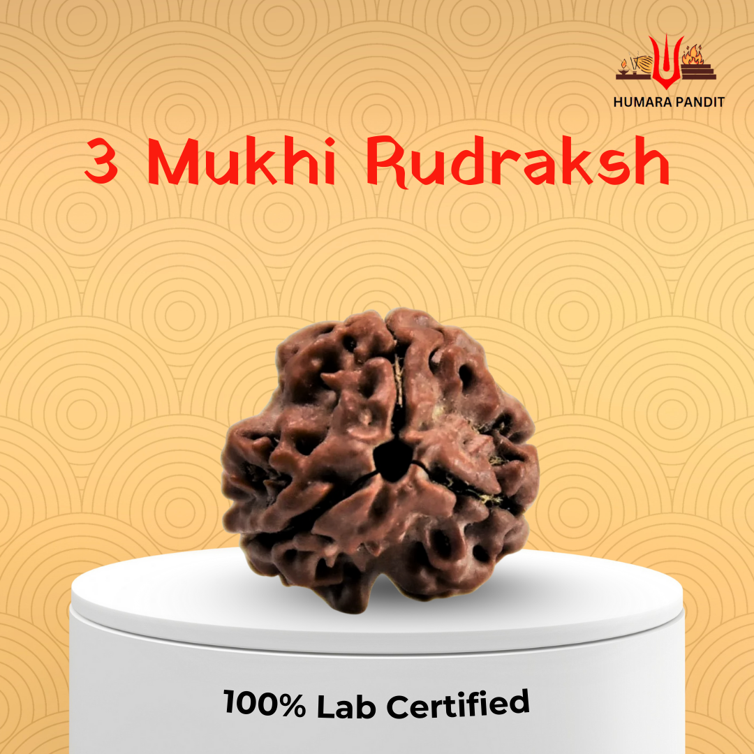 3 Mukhi Nepali Rudraksha – Burn Karma. Rise in Power. 🔥