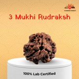 3 Mukhi Nepali Rudraksha – Burn Karma. Rise in Power. 🔥