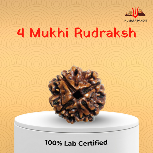 4 Mukhi Nepali Rudraksha – Wisdom, Speech & Creative Power 🪔