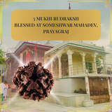 Temple-Blessed Rudraksha – From the Feet of Someshwar Mahadev, Prayagraj