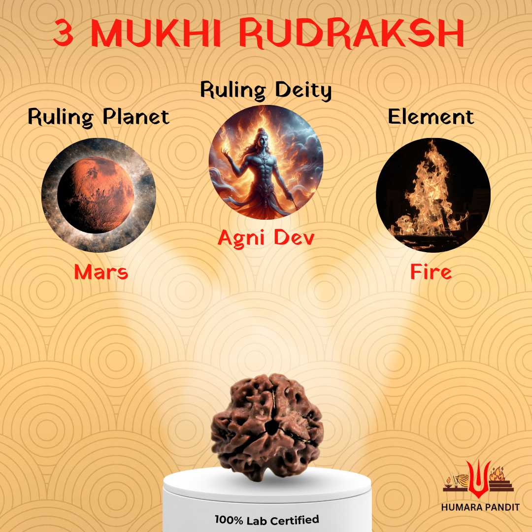 3 Mukhi Nepali Rudraksha – Burn Karma. Rise in Power. 🔥