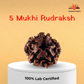 5 Mukhi Nepali Rudraksha – Peace, Focus & Spiritual Upliftment 🕉️