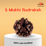 5 Mukhi Nepali Rudraksha – Peace, Focus & Spiritual Upliftment 🕉️