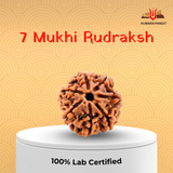 7 Mukhi Nepali Rudraksha – Wealth, Prosperity & Divine Blessings 💰
