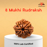8 Mukhi Nepali Rudraksha – Removal of Obstacles & New Beginnings 🐘✨