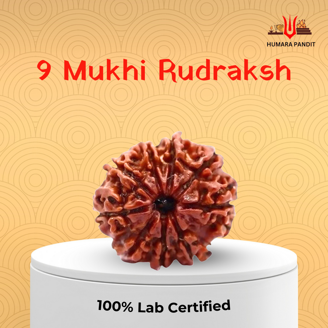 9 Mukhi Nepali Rudraksha – Shakti, Protection & Fearlessness ⚔️🌺