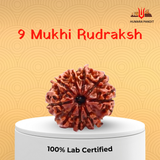 9 Mukhi Nepali Rudraksha – Shakti, Protection & Fearlessness ⚔️🌺