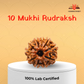 10 Mukhi Nepali Rudraksha – Protection, Balance & Divine Support 🛡️🔱