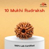 10 Mukhi Nepali Rudraksha – Protection, Balance & Divine Support 🛡️🔱